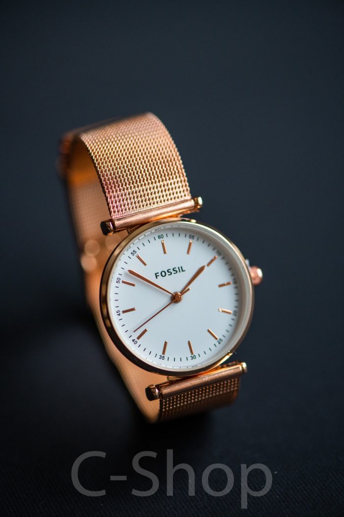 Fossil G-03 - Image 1